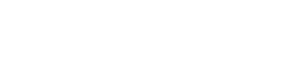 All Access International